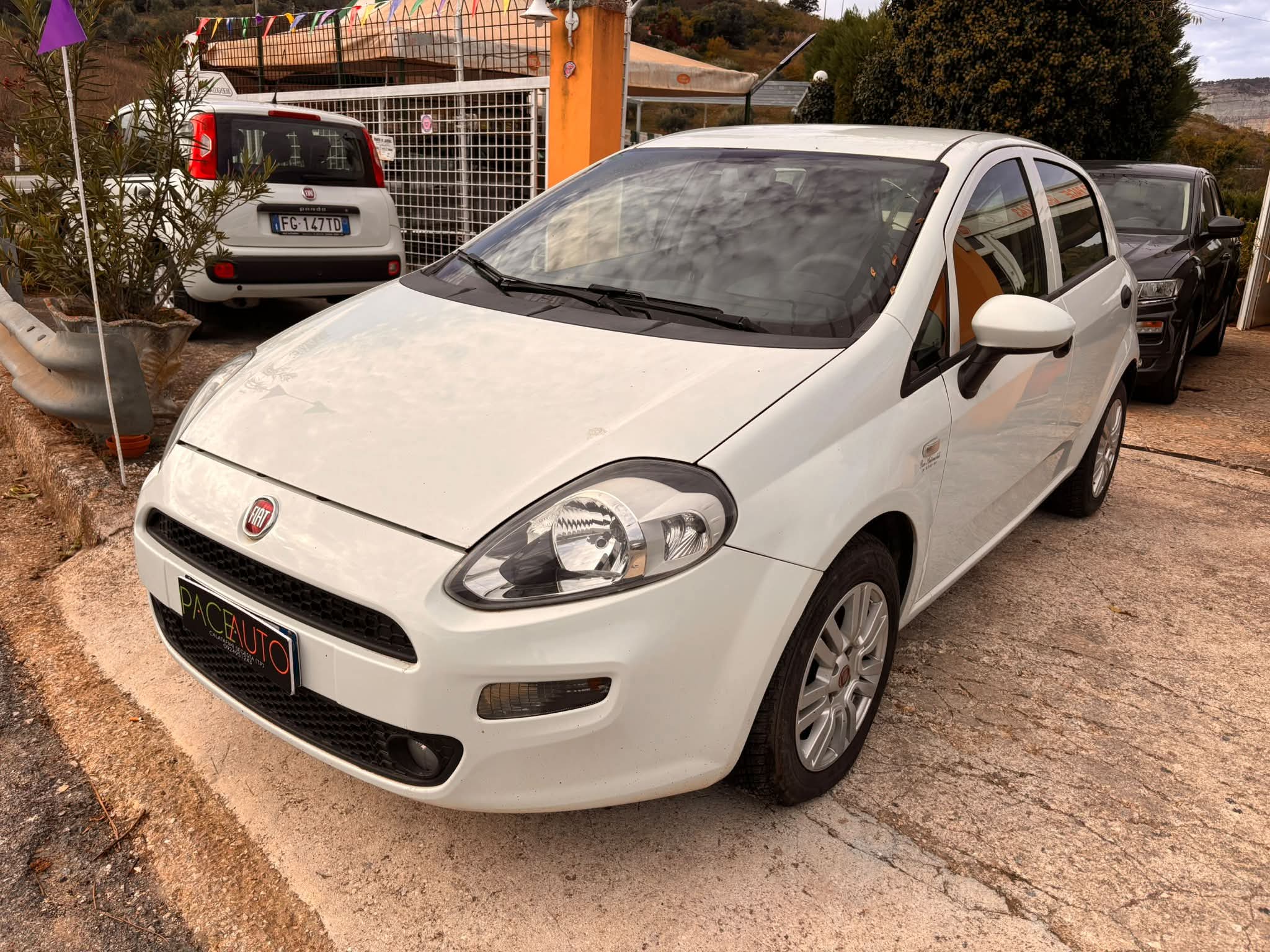 FIAT PUNTO STREET